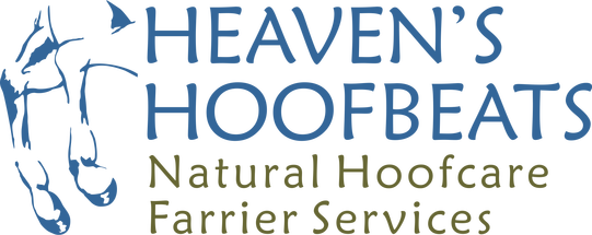 Heaven's Hoofbeats